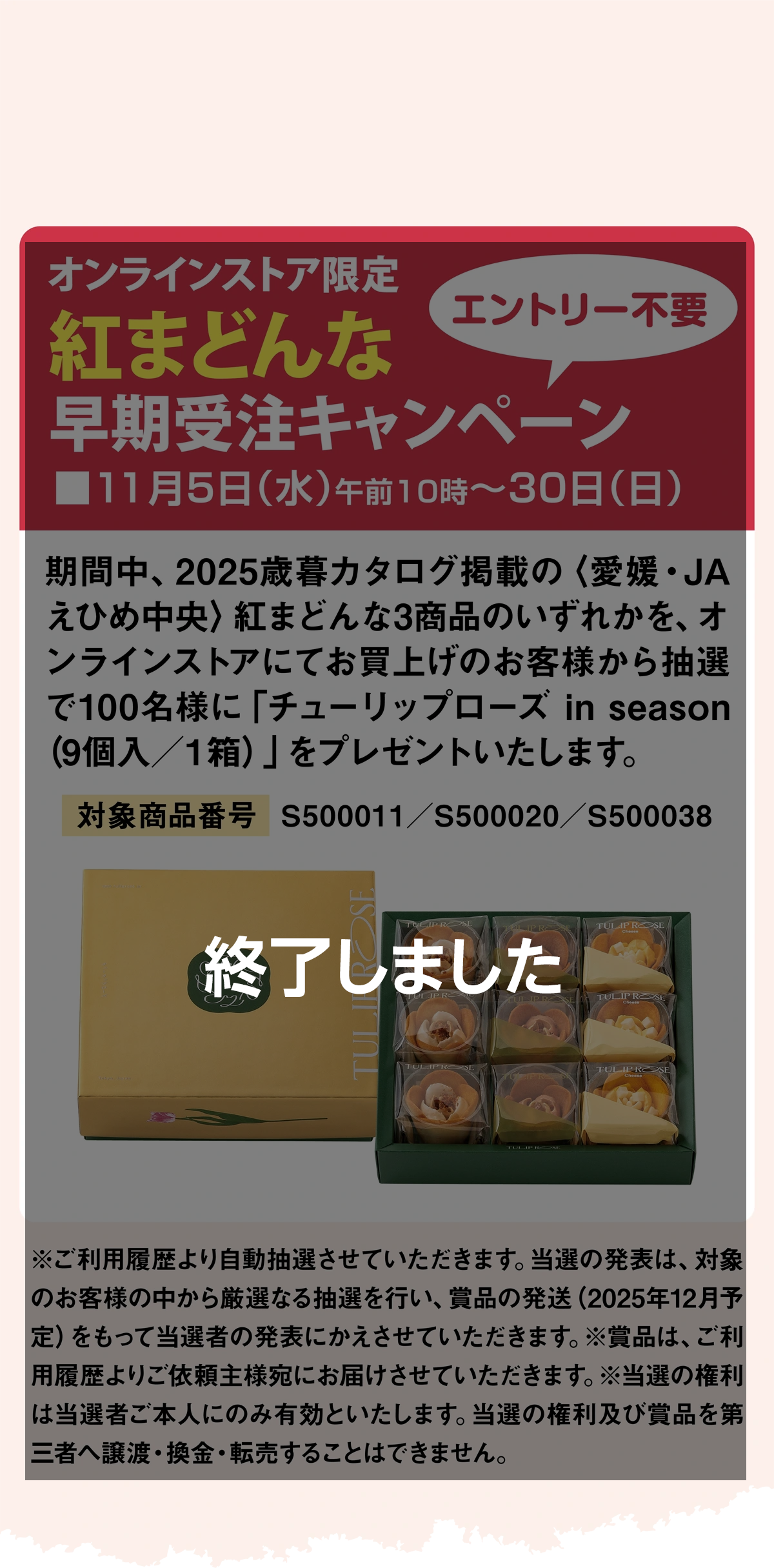 紅まどんな 早期受注キャンペーン 11月30日まで