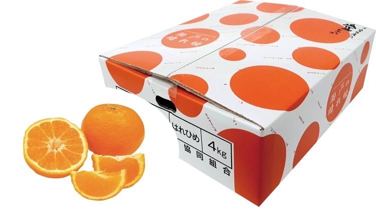 瀬戸の晴れ姫商品画像