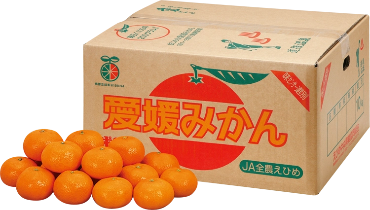 愛媛みかん商品画像