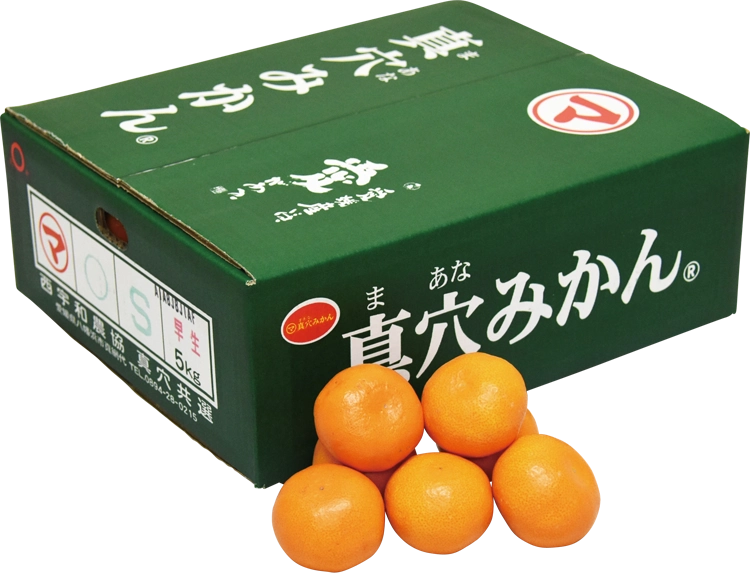 愛媛みかん商品画像