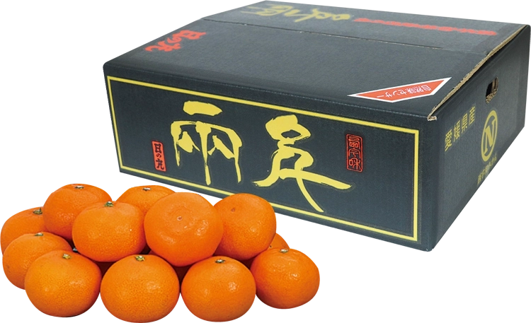 日の丸千両商品画像