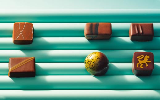 Special Collaboration