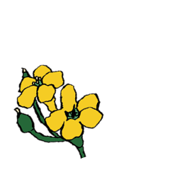 イメージ：花