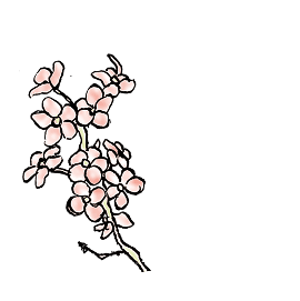 イメージ：花