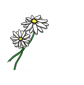イメージ：花