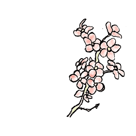 イメージ：花