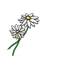 イメージ：花