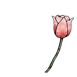イメージ：花