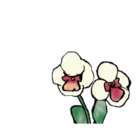 イメージ：花