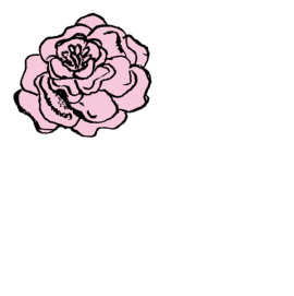 イメージ：花