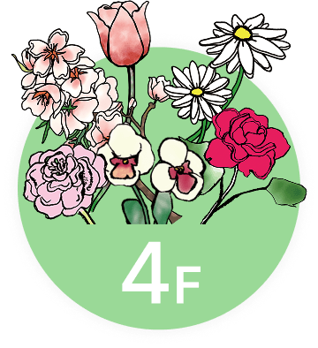 イメージ:4F