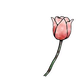 イメージ：花