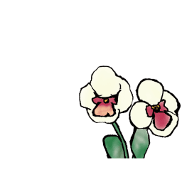 イメージ：花