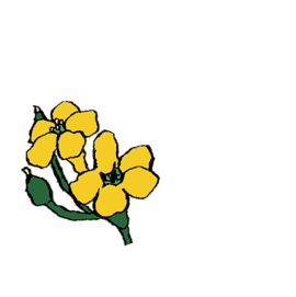 イメージ：花