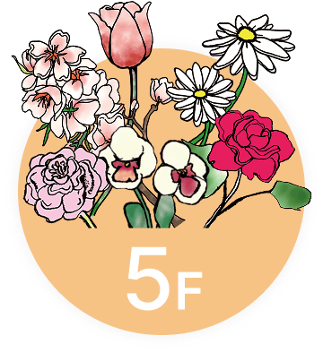 イメージ:5F