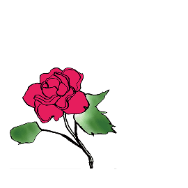 イメージ：花