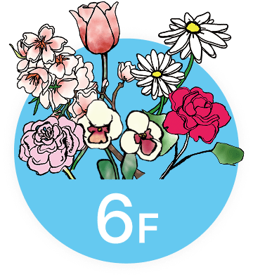 イメージ:6F