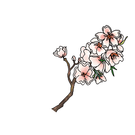 イメージ：花