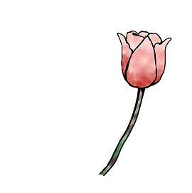 イメージ：花