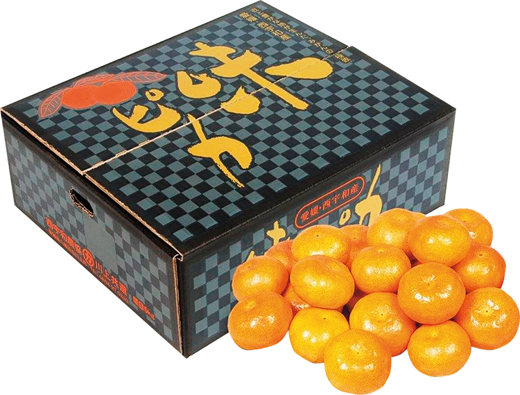 味ピカ商品画像