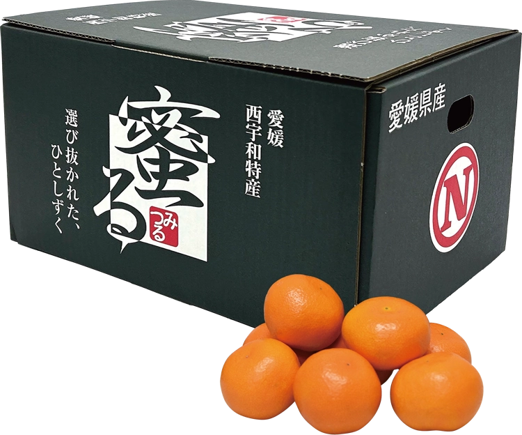 愛媛みかん商品画像