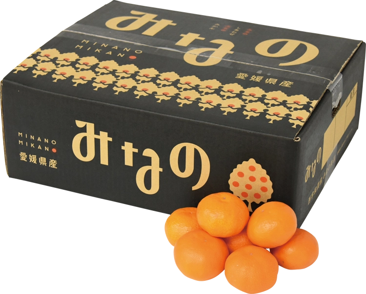 愛媛みかん商品画像