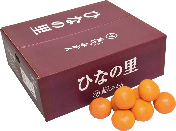 愛媛みかん商品画像