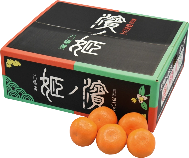 愛媛みかん商品画像