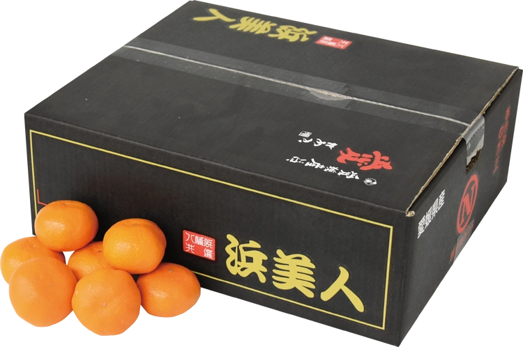 愛媛みかん商品画像