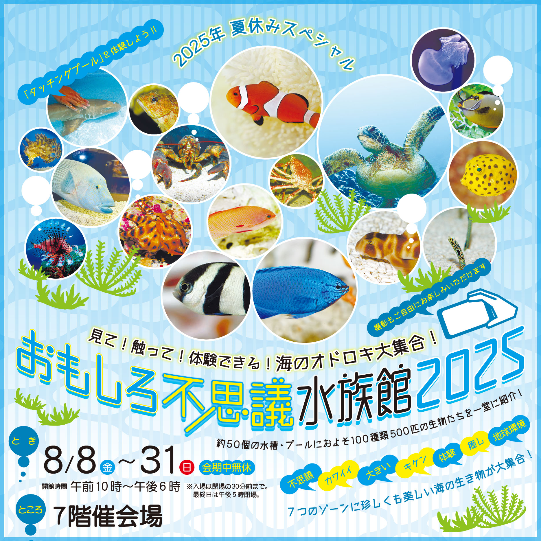 水族館_0808から