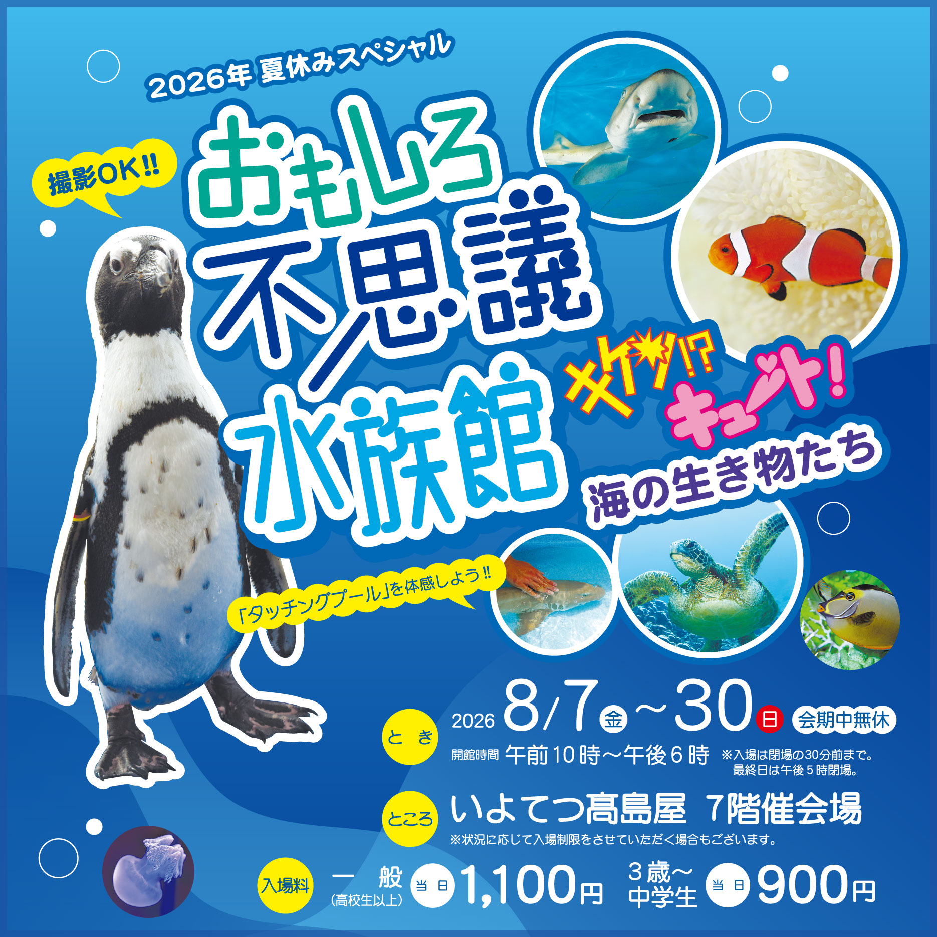 0807 水族館